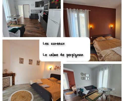 Saint-Mathieu Apartamento | Les sureaux, le charme du centre de perpignan