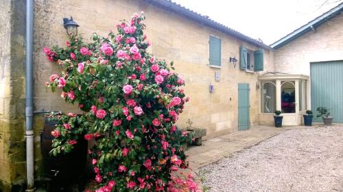 Saint-Magne-de-Castillon Casa | Les Vignes
