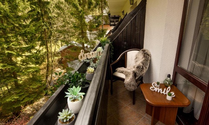 Predeal Apartamento | WILD & FREE - Ideal Room with a view