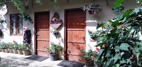 Nuwara Eliya Casa | Lily Bank Cottage