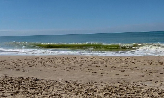 Barra Velha Apartamento | Lindo apto com vista à 200m da Praia de Itajubá-SC