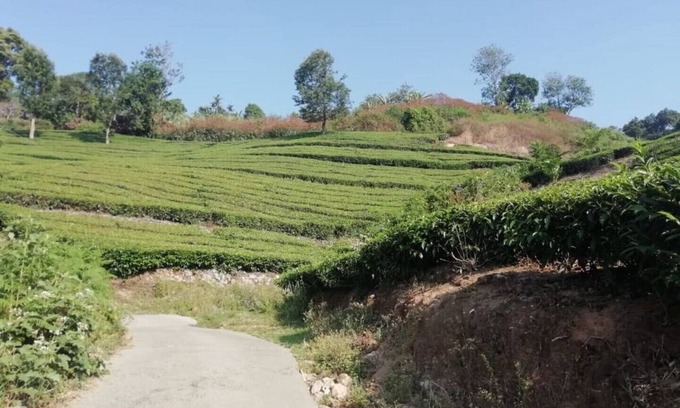 Pallivasal Casa | Linten Holiday Resort, Propiedad ubicada en Munnar. Ciudad a 4.7 km de MUNNAR
