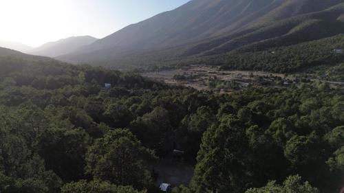 Arteaga Cabina | Lion king cabin woods