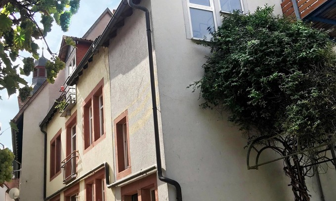 Annweiler am Trifels Apartamento | Lionheart - en el casco histórico de Annweiler am Trifels -
