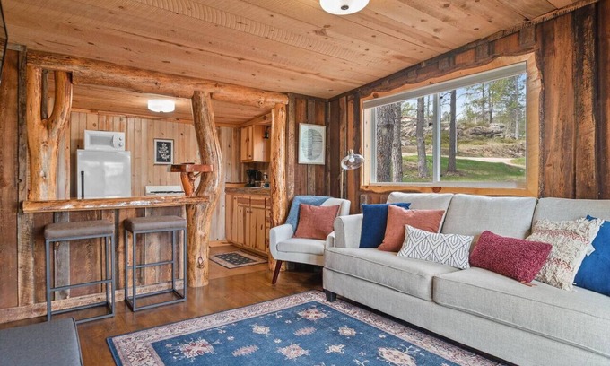Custer Apartamento | Little Joy: Needle Spire Views + Sauna + Wildlife
