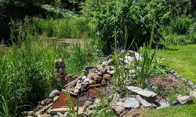 Lake Cowichan Casa | Little Suite in the Country