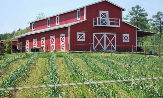 Bynum Otro | Live the farm life!