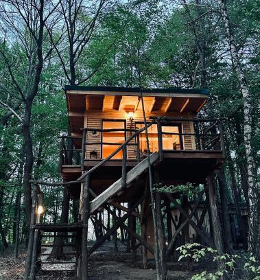 Moravske Toplice Apartamento | Living Forest Resort