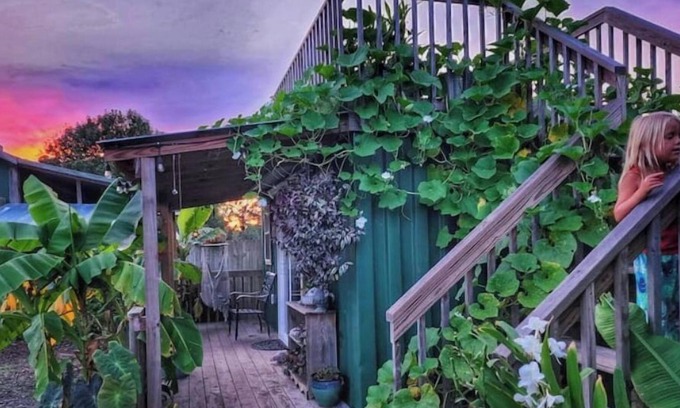 Willard Otro | Lizzy Lou's Flower House - The Bluebelle