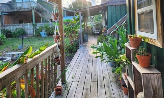 Willard Otro | Lizzy Lou's Flower House - The Rose