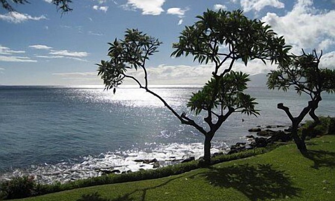 Kahana Condominio | Situado directamente sobre la frente al mar con vistas espectaculares