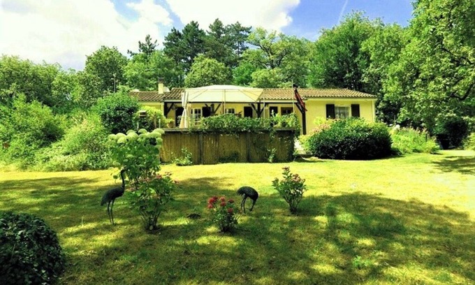 Baladou Casa | Situado en un bosque tranquilo.