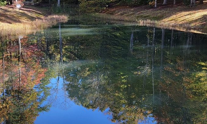 Crab Orchard Cabina | Located minutes from golf & a nature reserve, stay in a private 5 acre oasis
