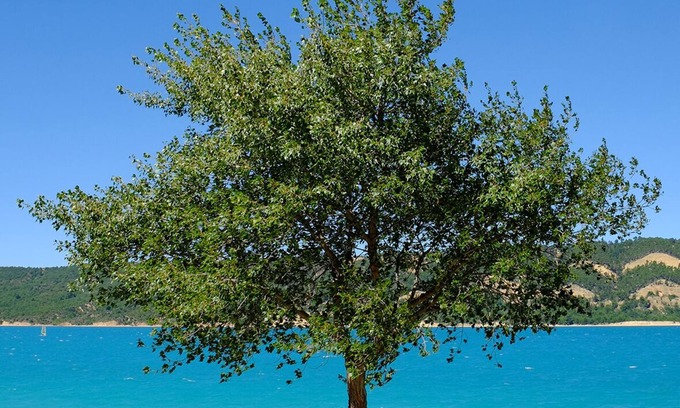 Les Salles-sur-Verdon Casa | Location Climatisée 1er Étage Avec Espace Extérieur.2 Pers.500m du Lac Ste Croix