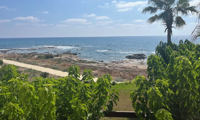 Kissonerga Apartamento | Location, Location! Lovely beachfront apartment with restaurant onsite.