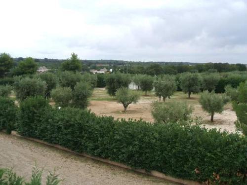 Martina Franca Casa | Locazione turistica Green Park