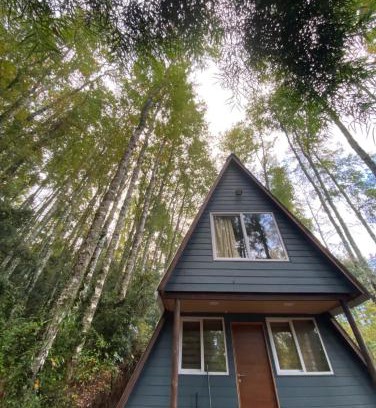 Villarrica Chalet De Esquí | Lodge kumelka