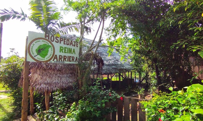 Leticia Cabaña | Hospedaje y tours reina arriera Amazonas Colombia