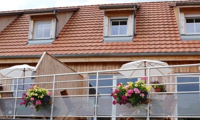 Nothalten Cabaña | Nueva casa rural de 3 * en el centro de Alsacia con todas las comodidades en Nothalten y vistas al viñedo