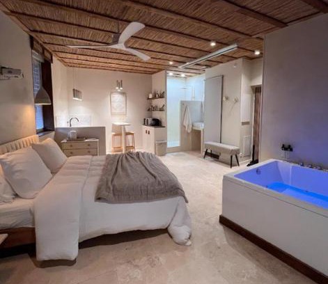 Gaillac Apartamento | Loft Balneo