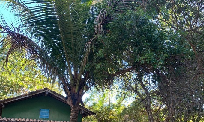 Caraiva Casa | Loft-house Dentro da Vila de Caraiva