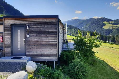 Gaal Casa | Loft in Gaal by Ski Slopes & Hiking Trails