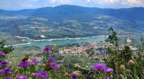 Cles Casa | Loft Monte Peller