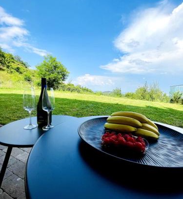 Brasov Apartamento | Loft with garden city view and garage