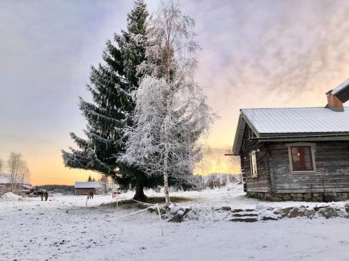 Hassela Casa | Log Cabin from 1820s with wood-heated sauna