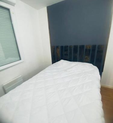 Quint-Fonsegrives Apartamento | Logement balmacoeurs