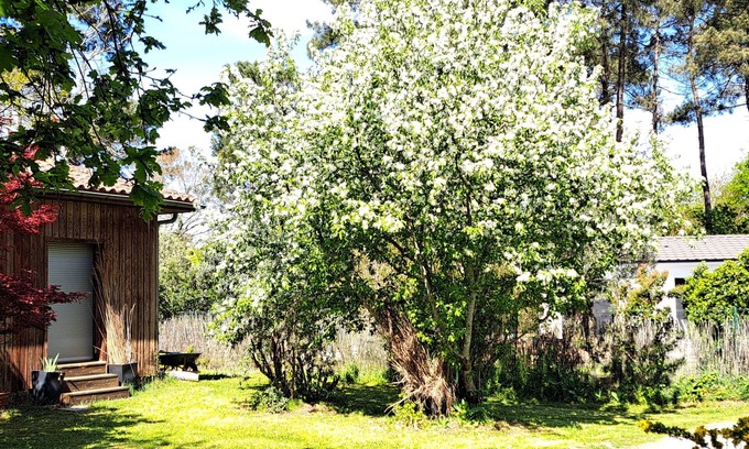 Pessac Apartamento | Logement Bucolique Chez Didier et Fernand