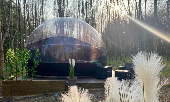 Saint-Evarzec Otro | Logement insolite "Bubble jungle"