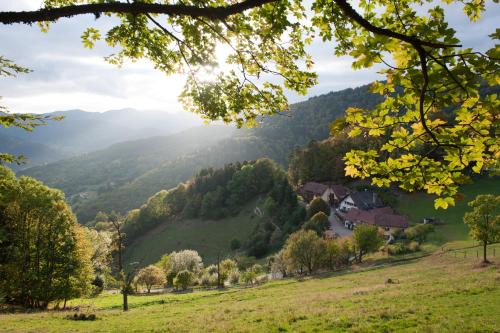 Saint-Amarin Hotel | Logis Auberge Du Mehrbachel - Hôtel & Restaurant