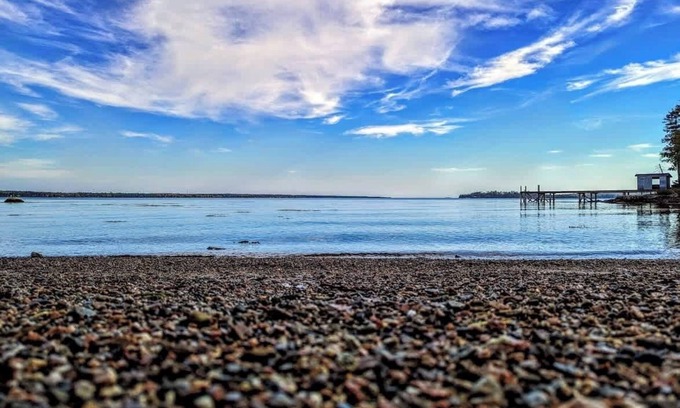 Gouldsboro Casa | Lone Pine Oceanfront Cottage