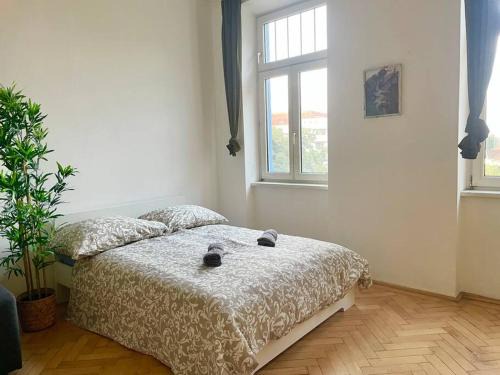 Dobling Apartamento | Long Stays - Cozy - Studio