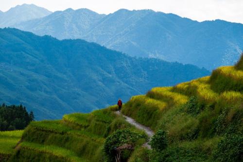 Longsheng Various Nationalities Autonomous County Hotel | Longsheng Longji Rice Terraces Jingyue Hotel 龙胜龙脊梯田境悦酒店