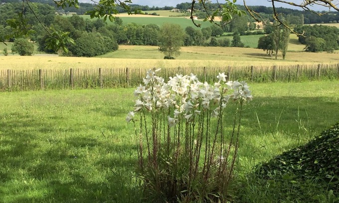 Lusignac Casa | ¿Busca una acogedora casa de campo en la tranquila zona de Dordoña / Charente? Lo encontraste.