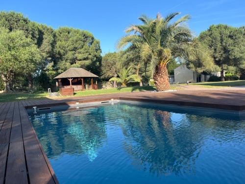 Carbonne Casa | Loption
