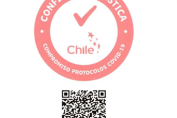 Pucon Apartamento | Los Gualles de la Candelaria Apart Hotel
