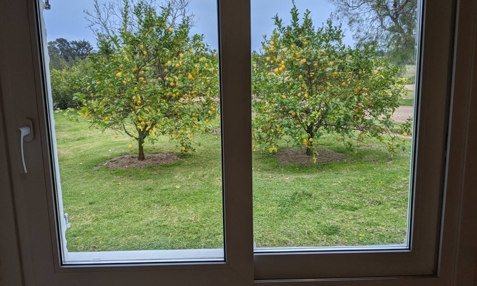 Punta Ballena Cabaña | Los Limoneros en Granja Henderson
