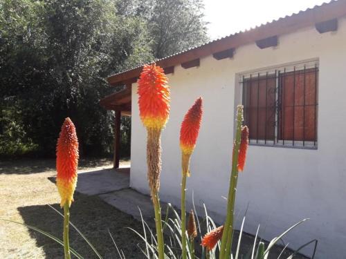 Los Reartes Chalet De Esquí | Los Manzanos