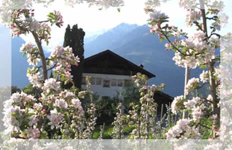 Schenna Apartamento | Lothof