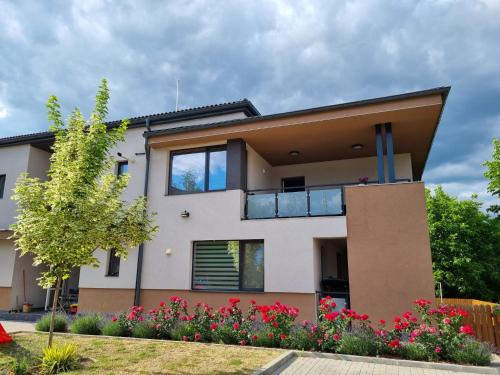 Odorheiu Secuiesc Apartamento | Lotus Apartman II
