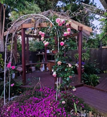 Albany Casa | Love House