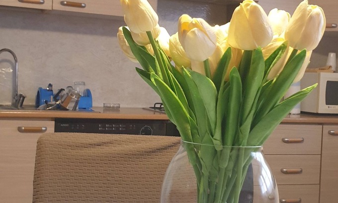 Parma Apartamento | Love nest Parma