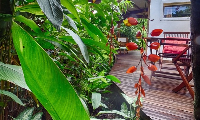 Pointe-Noire Cabaña | Nido de amor en el corazón de un frondoso jardín tropical