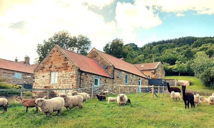 Briggswath Cabaña | Luddie's Country Cottages - Rose Cottage