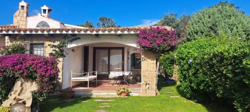La Conia Casa | Lupo 1