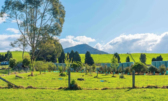 Pukawa Casa | Lush Escape - Lake Taupo Holiday Home