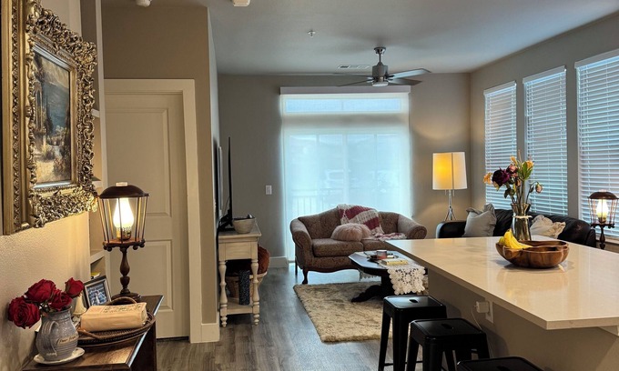 College Station Apartamento | Lux College Station Apartment